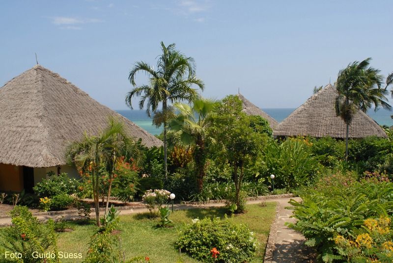 Leopard Beach Diani Beach Bagian luar foto